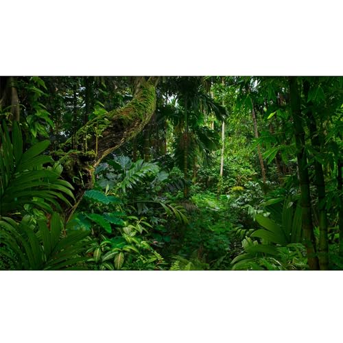Tropical Rainforest Aquarium Background Psychedelic Forest Terrarium Background Old Trees Woodland Reptile Habitat Background Green Leaves Aquarium Background Backdrop Durable Vinyl 24x12in - color: Pure Green, size: 24(W)x12(H)inches/ 60(W)*30cm(H)