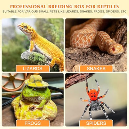 Plastic Reptile Terrarium Box for Small Crawling Pets Easy Assembly and Cleaning Safe Smooth Surface Pet Lizard and Bearded Dragon Enclosure Black Kit