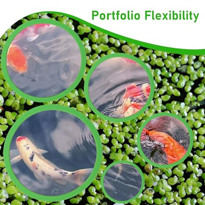 10Pcs Aquarium Floating Plant Rings and Fish Feeding Rings,Aquarium Floating Plant Corral,Floating Plant Rings Keep Your Plants in Place,Can Be Used to Framed and Frameless Aquariums (Green)