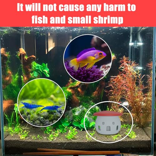 Aquarium Safe Snail Catcher - Reusable Snail Containment Tool for Fish Tanks