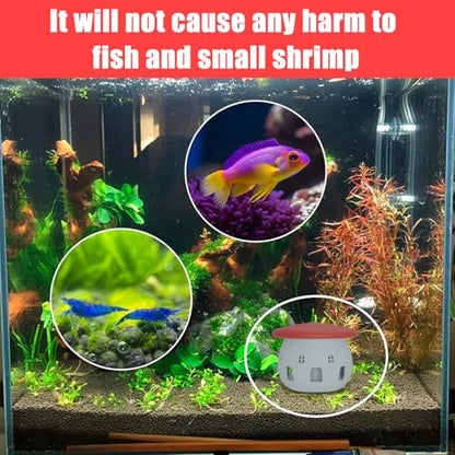 Aquarium Safe Snail Catcher - Reusable Snail Containment Tool for Fish Tanks