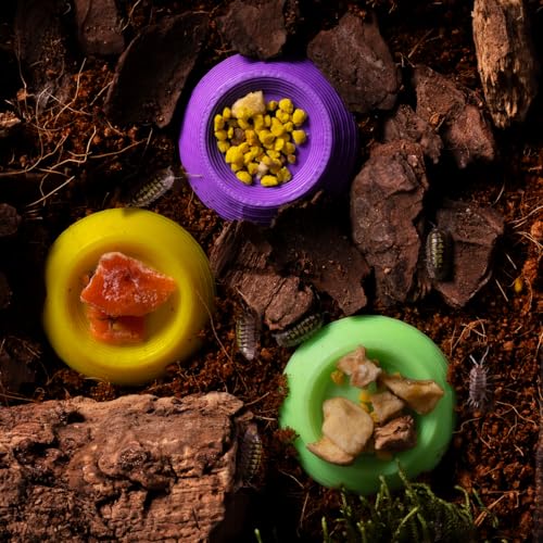 12pcs Isopods Feeder Bowls, Tiny Feeding Dish for Isopods, Springtails, Dubia Roaches, Dwarf Invertebrates – Colorful Food Dishes for Terrariums and Enclosures