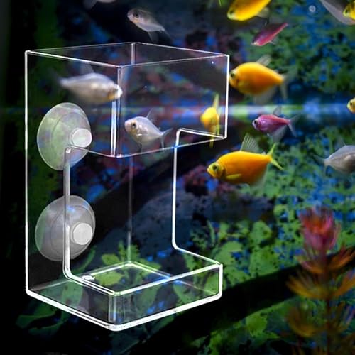 Fish Feeder Acrylic Dish Tray Fish Tank Prevent Water Turbulence Assembled Shrimp Feeder Worm Feeder Cherry Shrimp, Cuboid - color: Cuboid