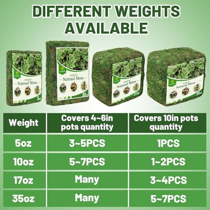 17oz Large Pack Natural Green Moss for Plants Indoor - Dried Forest Real Moss for Crafts, Artificial Fairy Gardens, Mosswall, Glass Terrariums, Floral Design, Home Decor - style: 17oz