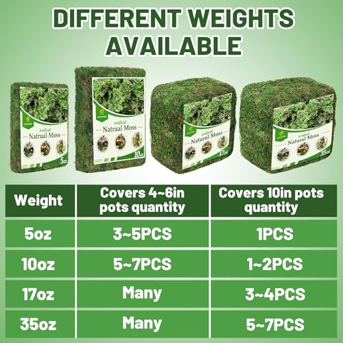 35oz Jumbo Pack Natural Green Moss for Plants Indoor - Bulk Dried Forest Real Moss for Crafts, Artificial Fairy Gardens, Mosswall, Glass Terrariums, Floral Design, Home Decor - style: 35oz