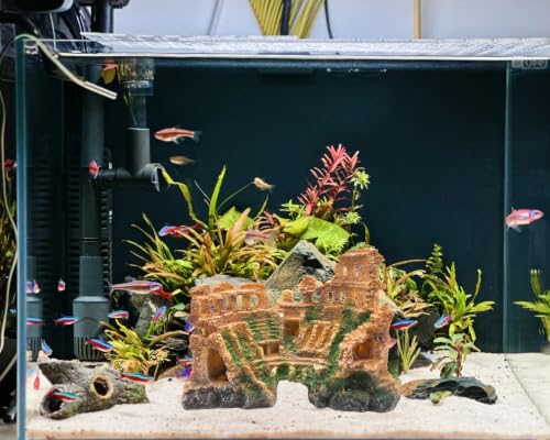 M2cbridge Aquarium Decor Antique Roman Column Ruin European Castle Underwater Landscape(Rome Colosseum) - color: Rome Colosseum