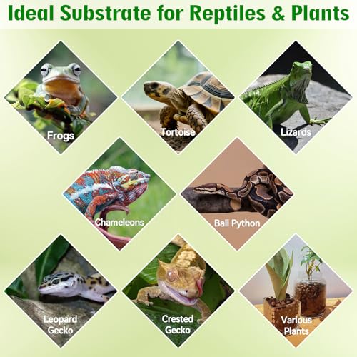 2QT Leca Clay Pebbles for Reptile Substrate - Organic Expanded Clay Balls for Bioactive Terrarium Drainage Layer & False Bottom, Lightweight Hydro Balls for Leopard Gecko, Tortoise, Frog