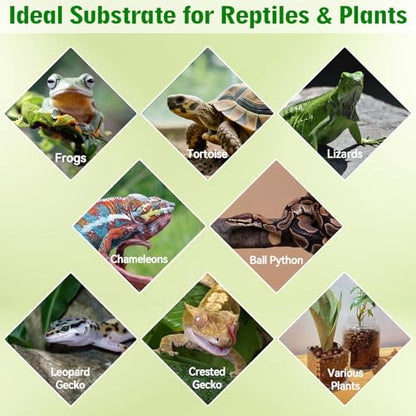 2QT Leca Clay Pebbles for Reptile Substrate - Organic Expanded Clay Balls for Bioactive Terrarium Drainage Layer & False Bottom, Lightweight Hydro Balls for Leopard Gecko, Tortoise, Frog
