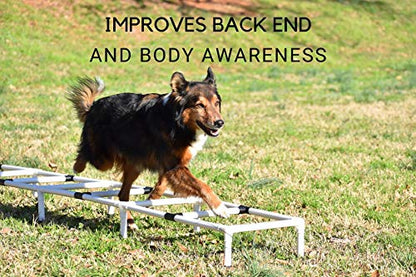Agility Training Ladder | Dog Agility Training Equipment, Dog Training Equipment