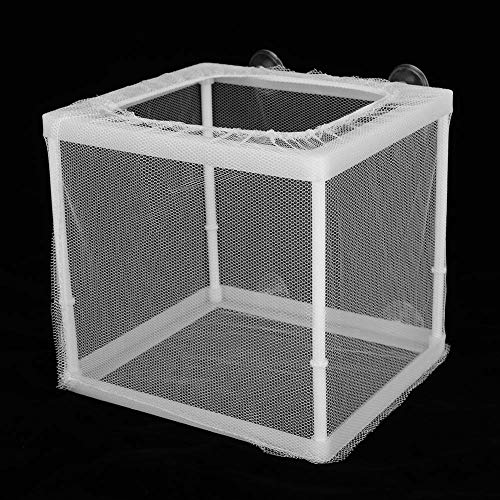 Fish Breeder Box Aquarium Incubator Transparent Plastic Isolation Tank for Newborn Fry Protection 15.7x14x14.9cm with 4 Suction Cups Mesh Net and Stand Columns