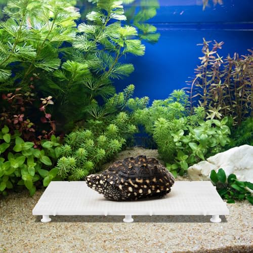 Toddmomy 1set Fish Tank Divider Isolation Board Aquarium Part for Fish and Turtle Tanks Easy to Install Creates Separate Zones for Diverse Aquatic Species Mesh Panel Includes Support