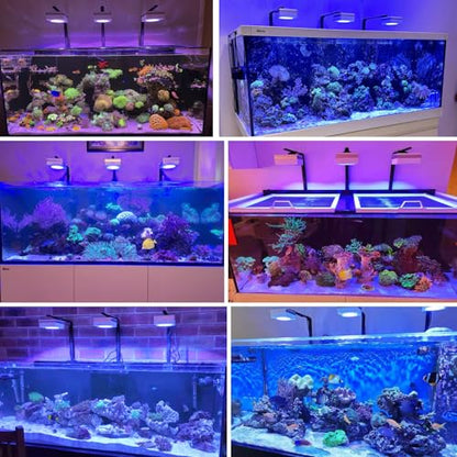 RL90 Full Spectrum Saltwater Reef Aquarium LED Light Aquarium Reef Led, for 50-72inch 130-180cm SPS LPS Reef Coral Tank, App Control (3 RL90FS with arm kit) - size: 3 RL90FS with arm kit