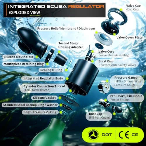 GOYOJO Mini Scuba Tank, Portable Diving Lung Air Tank with DOT Certified, Refillable Emergency Backup Pony Bottle for Snorkeling, Underwater Breathing, Training - color: 0.5L Submariner Hulk