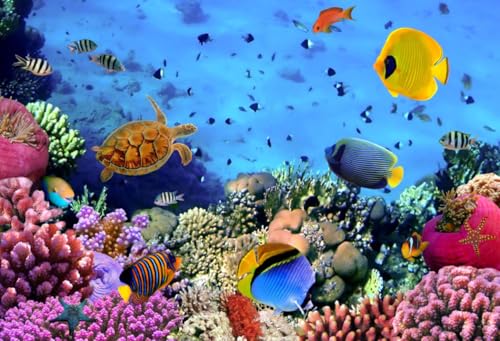 7x5ft Underwater Ocean Coral Reef Backdrop Under The Sea Tropical Fish Sea Turtle Marine Life Photography Background Seabed World Nature Scene Aquarium Decor Kids Portrait Photo Shoot Props - size: 7x5ft