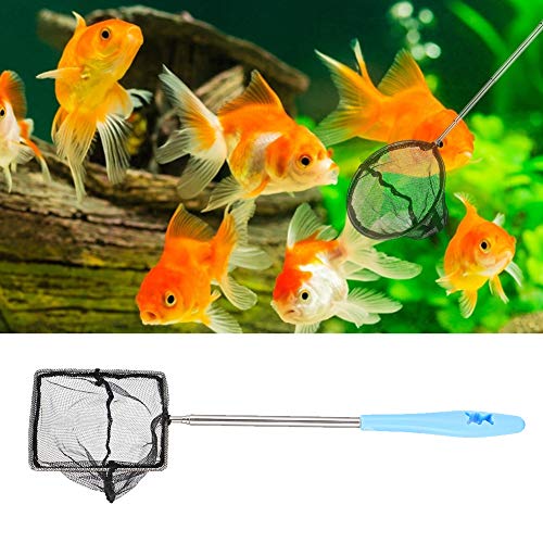 Aquarium Fine Mesh Stainless Steel Extendable Fish Net Skimmer for Shrimp with Nonslip Handle for Wall Hanging Blue Square for Shrimp, Small Fish - size: Square