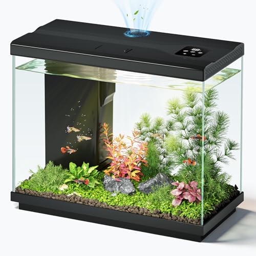 2.2 Gallon Fish Tank with 4-in-1 Filter Pump, Quiet Betta Aquarium with LED Light & Temperature Display, Small Aquarium for Home Office with Surface Skimmer, Beginner Friendly - color: Black