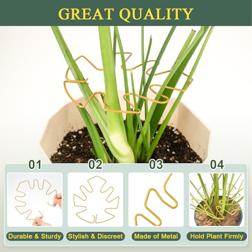 4 Pack Plant Stem Support, Adjustable Metal Monstera Plant Support Small 2PCS & Large 2PCS, Plant Supports for Indoor Plants Moss Pole Growth Plant Support Ring (Gold) - size: 5.5*5.9/2, 6.3*7.5/2