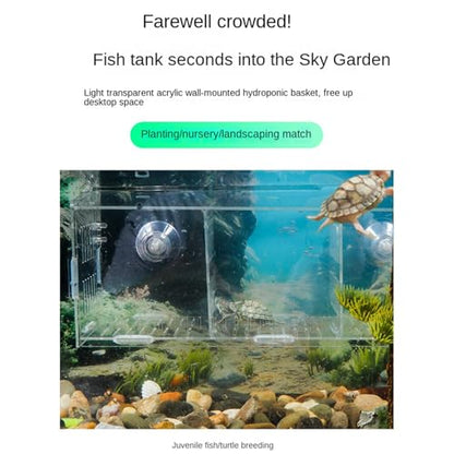Plant Holder for Aquarium - Acrylic Hydroponic Basket Transparent Adjustable Height Aquatic Plant Holder Decoration Corner Shelf Underwater Vine Moss