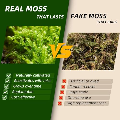 Live Moss Variety Pack for Reptiles– 3-Pack Mixed Real Terrarium Mosses (Each 3.5" x 7") – Live Sheet/Sphagnum Moss for Snake Gecko Turtle Frog Habitats, DIY Plant Décor – Fresh Reptiles Substrate