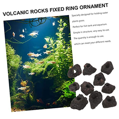 COLLBATH 10pcs Volcanic Plant Fixing Rings for Fish Tank Durable Aquarium Decoration Base for Water Plants Flexible and Easy to Clean for Aquariums