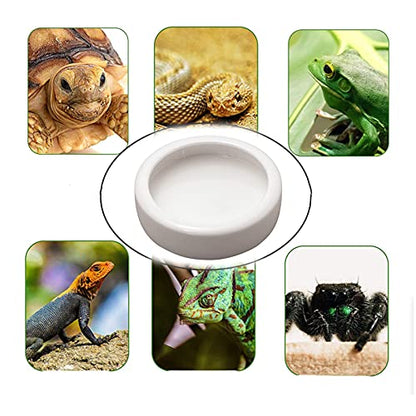 2 Pack Reptile Food Bowl, Mini Ceramic Water Feeder Bowl, Reptile Worm Feeding Dish for Lizard Turtle Bearded Dragon Anoles Crested Gecko Hermit Crab Leopard Gecko Chameleon Corn Snake - size: 1 Pc 2.7 '' x 0.8 ''