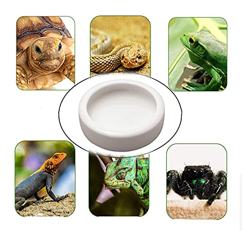 2 Pack Reptile Food Bowl, Mini Ceramic Water Feeder Bowl, Reptile Worm Feeding Dish for Lizard Turtle Bearded Dragon Anoles Crested Gecko Hermit Crab Leopard Gecko Chameleon Corn Snake - size: 1 Pc 2.7 '' x 0.8 ''