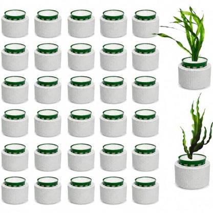 24 Pcs Aquarium Plant Weights Kit, Ceramic Anti-Floating Rings with Soft Sponge – Aquarium Plant Anchors Keep Live Plants in Place. Aquarium Plant Weights for Live Plants to Prevent Floating