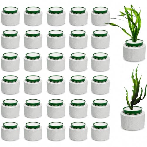 24 Pcs Aquarium Plant Weights Kit, Ceramic Anti-Floating Rings with Soft Sponge – Aquarium Plant Anchors Keep Live Plants in Place. Aquarium Plant Weights for Live Plants to Prevent Floating