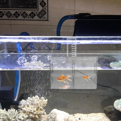 BESPORTBLE Fish Breeding Hatchery Box with Hooks, Aquarium Isolation Nursery Tank, Dual-Chamber Incubator for Tropical Fish Fry and Guppy Breeding in Home Aquariums