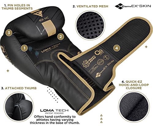 RDX Kids Boxing Pads and Gloves Set, Maya Hide Leather Kara Junior Hook and Jab Curved Focus Mitts Punching Gloves for MMA - color: GOLDEN
