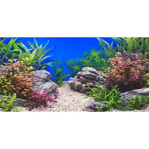 AWERT 60x24 inches Aquatic Plant Fish Tank Background Stone River Bed & Lake Aquarium Background Vinyl - size: 60x24in/150x60cm