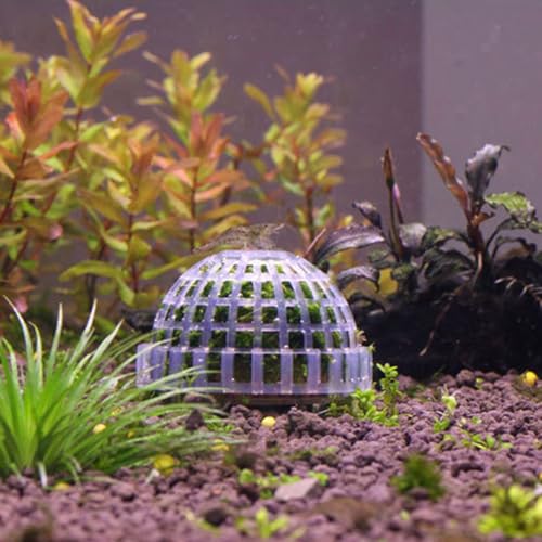 Moss Hemisphere Colonization Ball Aquarium Shrimp Fish Tank Moss Balls Holder Freshwater Live Plants Shaping Ball with Filter Stone
