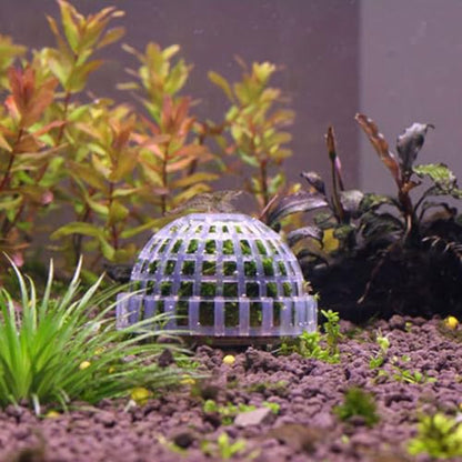 Moss Hemisphere Colonization Ball Aquarium Shrimp Fish Tank Moss Balls Holder Freshwater Live Plants Shaping Ball with Filter Stone