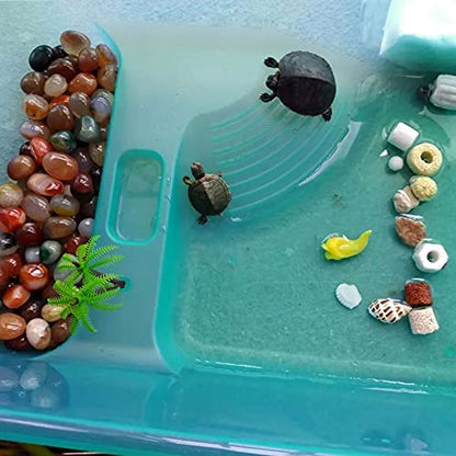 Turtle Tank Aquarium, Turtle Habitat Reptile Plastic Terrarium Safe Durable, Tortoise Tank with Lid Prevent Climbing Escaping (Medium) - size: Medium - 16.9x11.8x6.3 Inch