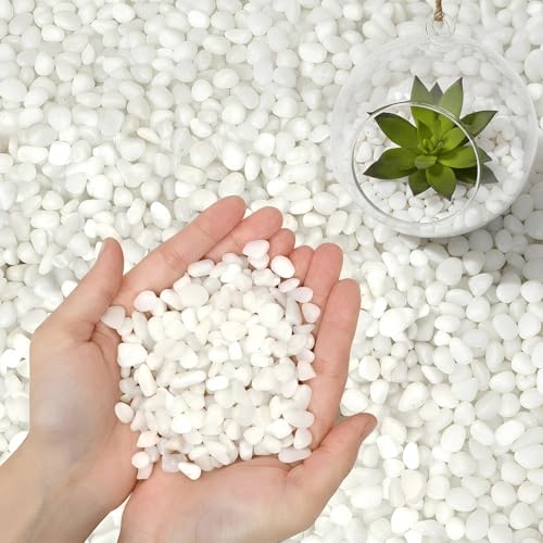 3/8 Inch Polished Decorative Pebbles, River Rocks for Indoor Plants, Succulents, Planters, Vases, Fish Tank, Aquarium Gravel & Landscaping, Snow White, 3LB - color: White, size: 3LB