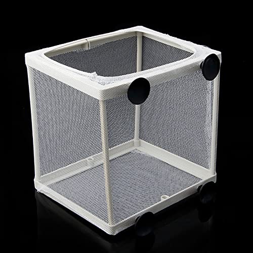 Fish Nursery for Aquarium, Fish Breeder Net, Fish Hatchery Isolation Box, Baby Fish Tank Divider with Suction Cups, Small Size, 14.5cmx15.5cmx16cm