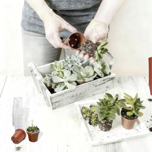 100 Pack 2 Inch Round Nursery Pots, 50 Clear and 50 Red Seedling Starter Pots, Plastic Plant Pots with Drainage Holes, for Seed Germination, Root View and Light Blocking - color: Clear + Red (100pcs)