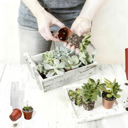 100 Pack 2 Inch Round Nursery Pots, 50 Clear and 50 Red Seedling Starter Pots, Plastic Plant Pots with Drainage Holes, for Seed Germination, Root View and Light Blocking - color: Clear + Red (100pcs)