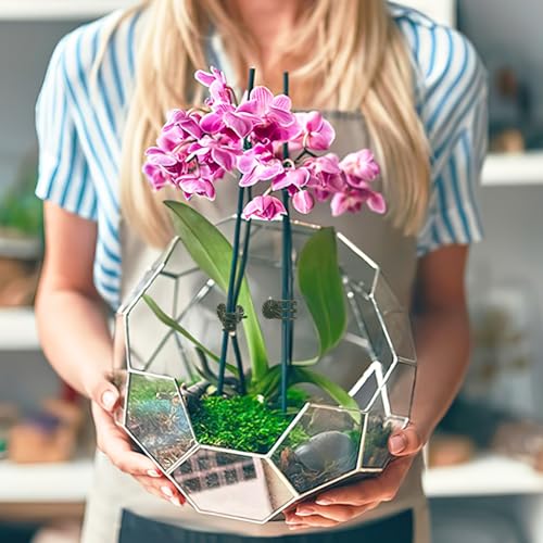 120 Pcs Plant Clips Dark Green Orchid Clips Plant Support Clips for Climbing Plants Garden Clips for Supporting Stems Vines Stalks Grow Upright