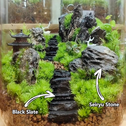 Natural Rocks Slate Stone 1-2.5 Inches Decorative Stones for Miniature Landscaping,Fairy Gardens,Bonsai,DIY Crafts,Aquariums & Reptile Terrariums-1lb