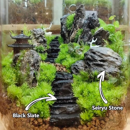 Natural Rocks Slate Stone 1-2.5 Inches Decorative Stones for Miniature Landscaping,Fairy Gardens,Bonsai,DIY Crafts,Aquariums & Reptile Terrariums-1lb