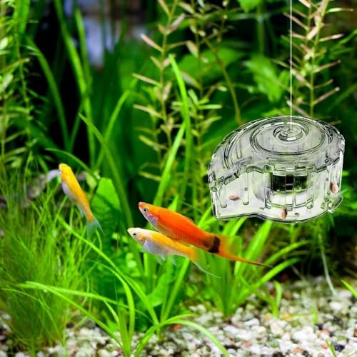 Effective Planaria Catcher Planaria Trap Transparent Planaria Catcher Clear Snail Catch Box for Efficient Aquatic Control