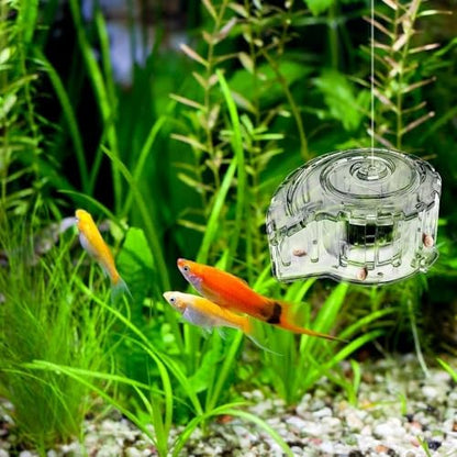 Effective Planaria Catcher Planaria Trap Transparent Planaria Catcher Clear Snail Catch Box for Efficient Aquatic Control
