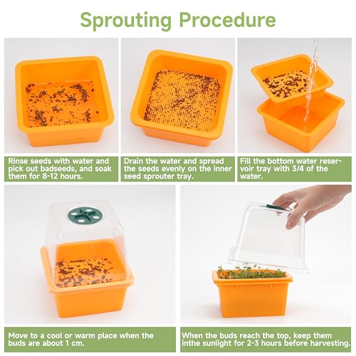 Microgreen Growing Trays, 5" x 5" Sprouting Tray with Humidity Dome, 1.2 mm Small Mesh Holes, BPA Free, Sprouter Kit for Growing Mirco Seeds, Like Broccoli, Alfalfa, Radish, Clover - 4 Pack | Colorful - color: Colorful Base