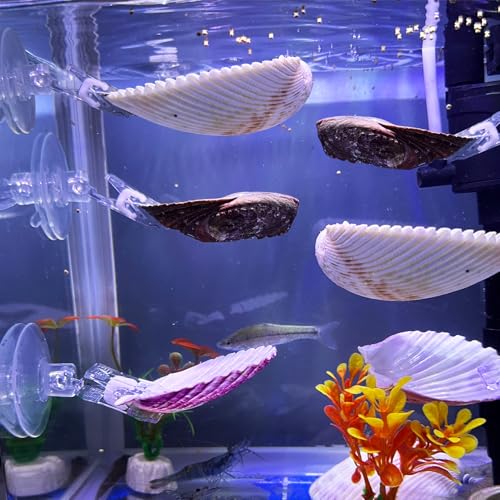 VCEPJH Betta Hammock with Suction Cups Betta Resting Spot 6 Pcs Shell Bed Toys for Aquarium Small Fish Natural Spawning Grounds Breeding Fish Tank Accessories Decorations - color: 3 Pcs Scallops +3 Pcs Oysters