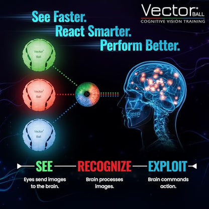 Vector Ball S Impact Color-Changing Neuro-Visual Reaction Ball