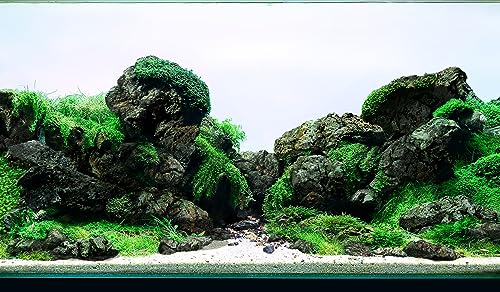 Black Icelandic Lava Stone Natural Rocks (18lbs, 3~11 inches,11pcs) for Aquariums, Paludariums, Terrariums, Caves and Rocky Peaks, Mountainous Desert Landscapes - size: 13 Black Icelandic Lava Stone(3-9 inches,18lbs)