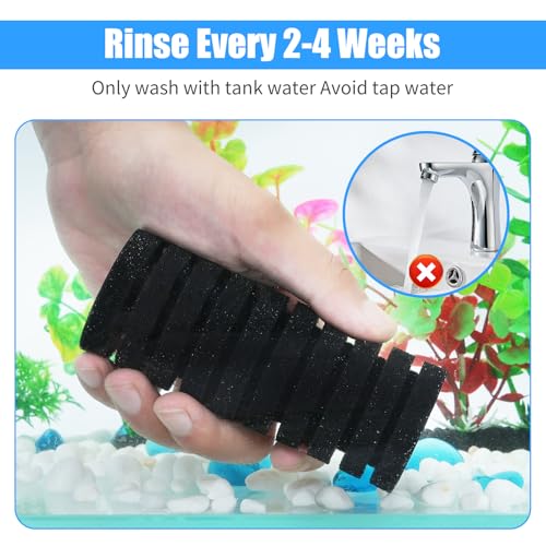 AQUANEAT Aquarium Air Powered Sponge Filter with Ceramic Media Balls, for Betta Fry Shrimp Fish Tank, with 2 Spare Sponges, up to 55Gal