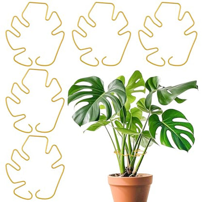 Monstera Plant Support for Indoor Plants Metal Plant Stem Holder Plant Support Ring for Climbing Plants Stem Stabilizer (6.29 * 7.08inch/ 5) - size: 6.3*7.1/5
