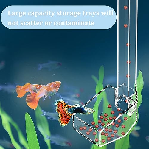 Aquarium Fish Shrimp Feeding Dish Set Clear Fish Feeder Tube and Dish with Cleaning Brush and Measuring Spoon for Feeding Shrimp and Preventing Food Scattering Feeding Supplies for Shrimp Large